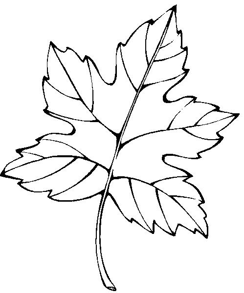 Plansa de colorat cu Toamna 156 64